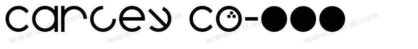 Carley Co字体转换